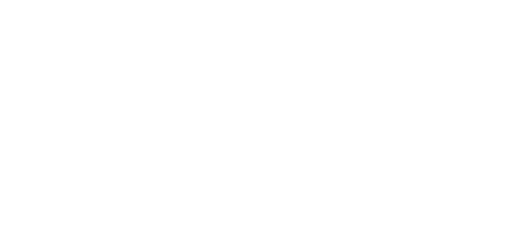 SBF Functional Fit